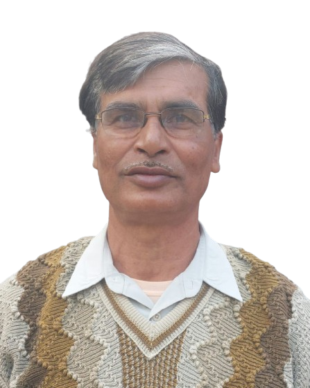 Purnendu Biswas